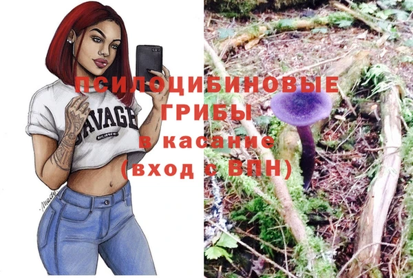 молекула духа Ладушкин