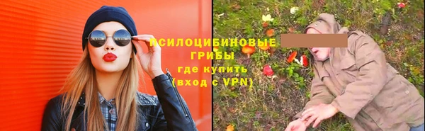 мдпв Лагань