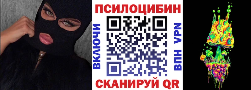 Псилоцибиновые грибы Psilocybine cubensis Беслан