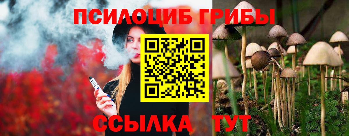 Псилоцибиновые грибы GOLDEN TEACHER  Вход с VPN  Беслан 